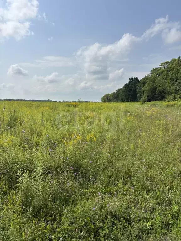 Участок в Тульская область, Тула городской округ, д. Малевка  (9.21 ... - Фото 1