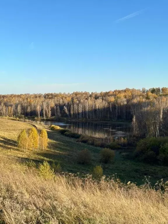 Участок в Новосибирская область, Искитимский район, Совхозный ... - Фото 0
