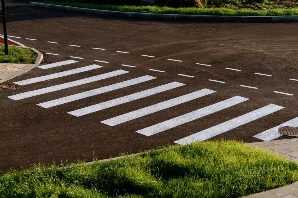 Участок в Ленинградская область, Всеволожский район, Лесколовское ... - Фото 2