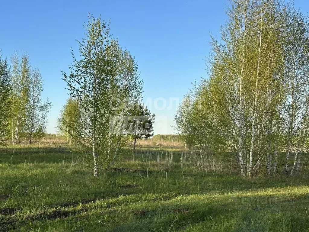 Участок в Челябинская область, Сосновский муниципальный округ, д. ... - Фото 1