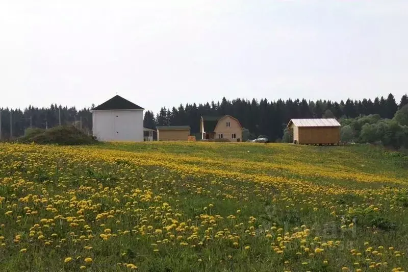 Участок в Московская область, Можайский городской округ, с. ДНП Старое ... - Фото 1