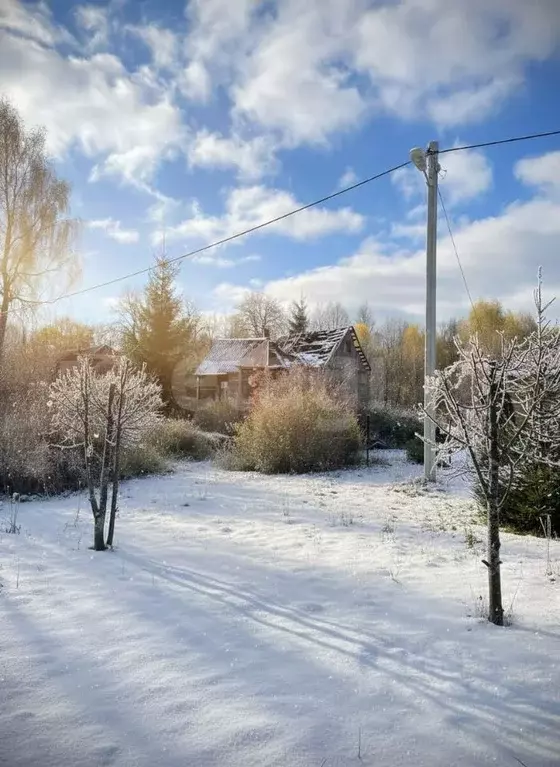 Участок в Московская область, Коломна городской округ, д. Шереметьево  ... - Фото 1