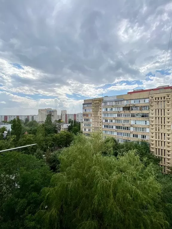 1-к. квартира, 38 м, 8/10 эт. - Фото 1