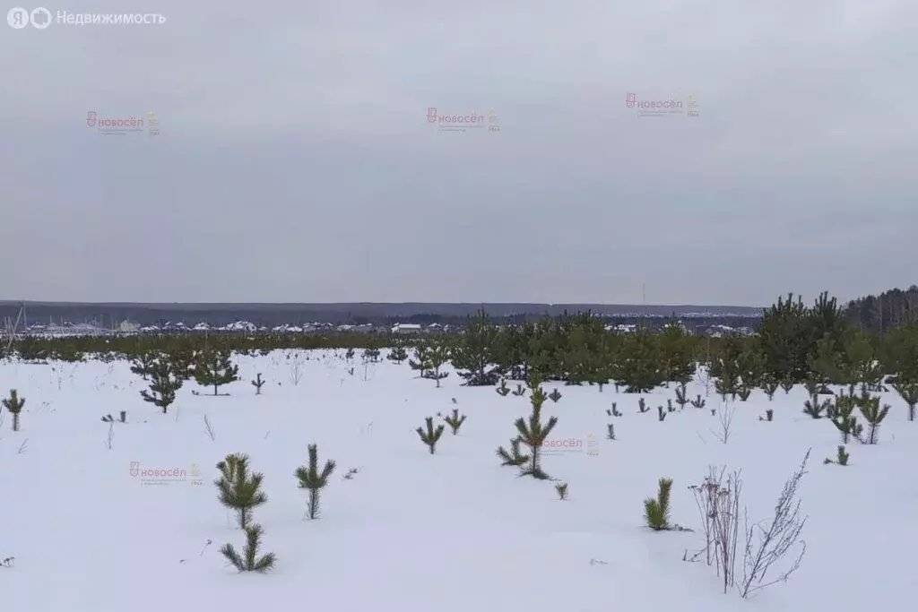 Участок в Берёзовский городской округ, посёлок Становая (9 м) - Фото 1