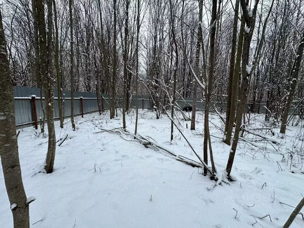 Участок в Московская область, Можайский муниципальный округ, д. ... - Фото 2