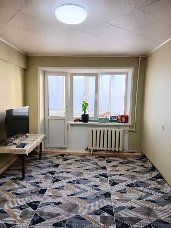 1-к кв. Новгородская область, Чудовский район, Успенское с/пос, с. ... - Фото 2