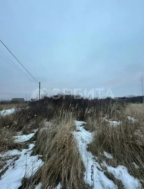 Участок в Тюменская область, Тюмень Рябинка-2 садовое товарищество, ... - Фото 1