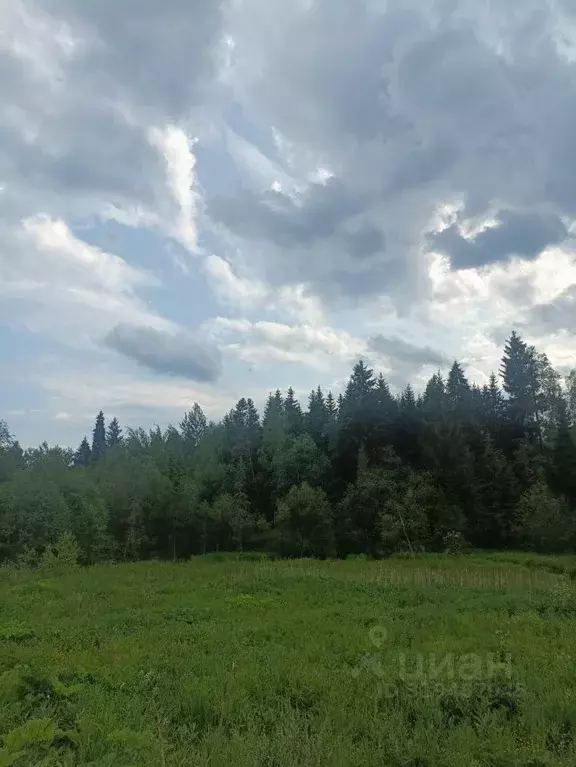 Участок в Московская область, Дмитровский муниципальный округ, ... - Фото 1