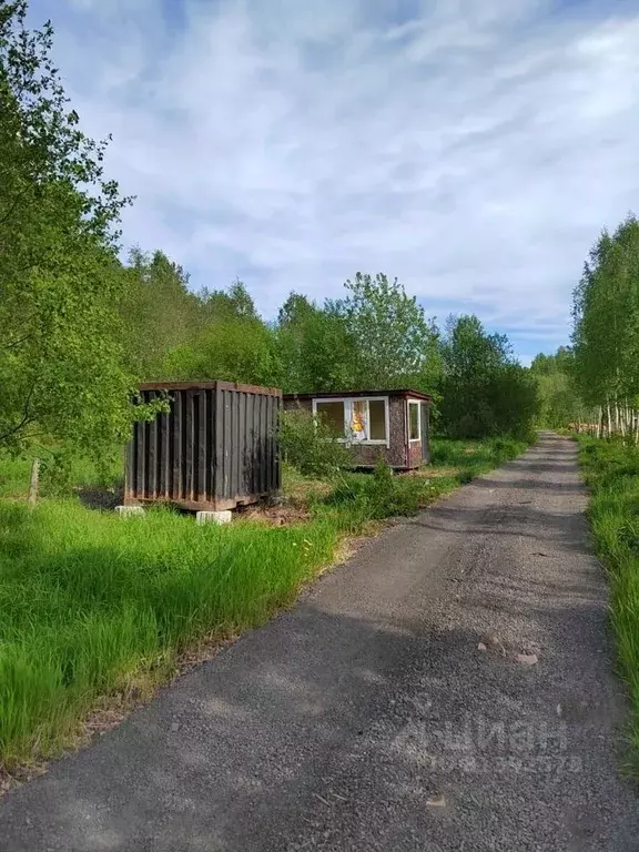 Участок в Карелия, Кондопожское городское поселение, пос. Березовка  ... - Фото 1