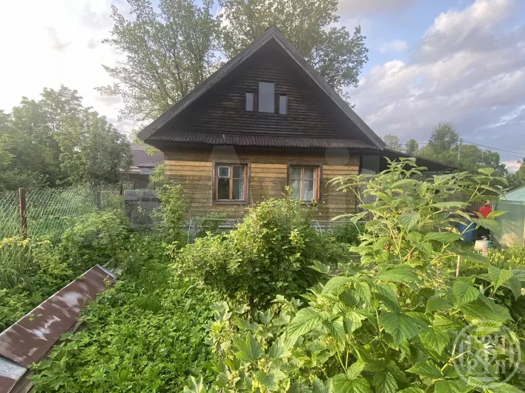 Дом 56 м на участке 11 сот. - Фото 0