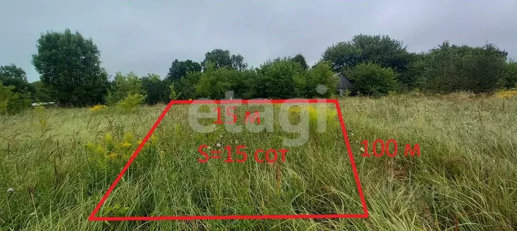 Участок в Брянская область, Дятьковский район, Березинское с/пос, с. ... - Фото 1