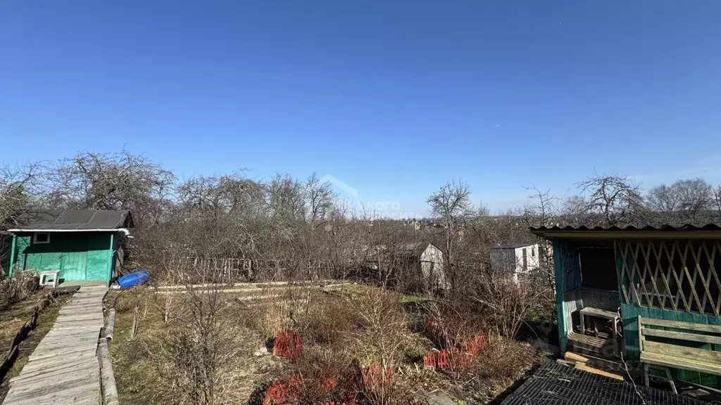 Участок в Ленинградская область, Ломоносовский район, д. Низино  (3.12 ... - Фото 1