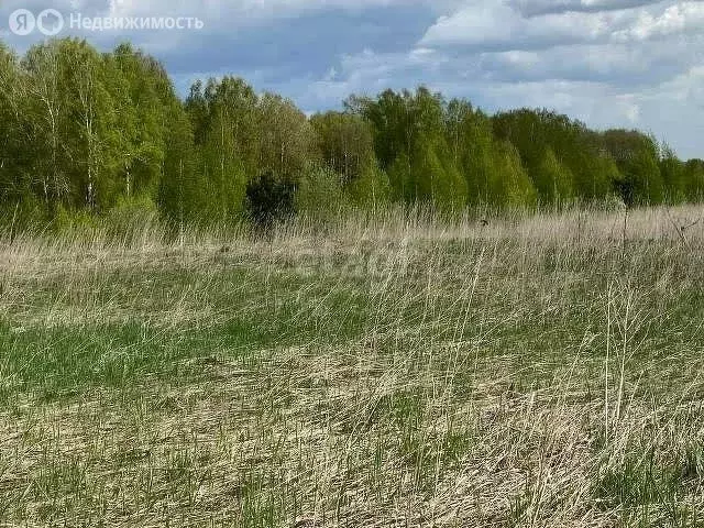 Участок в Ачинский район, село Преображенка (1300 м) - Фото 1