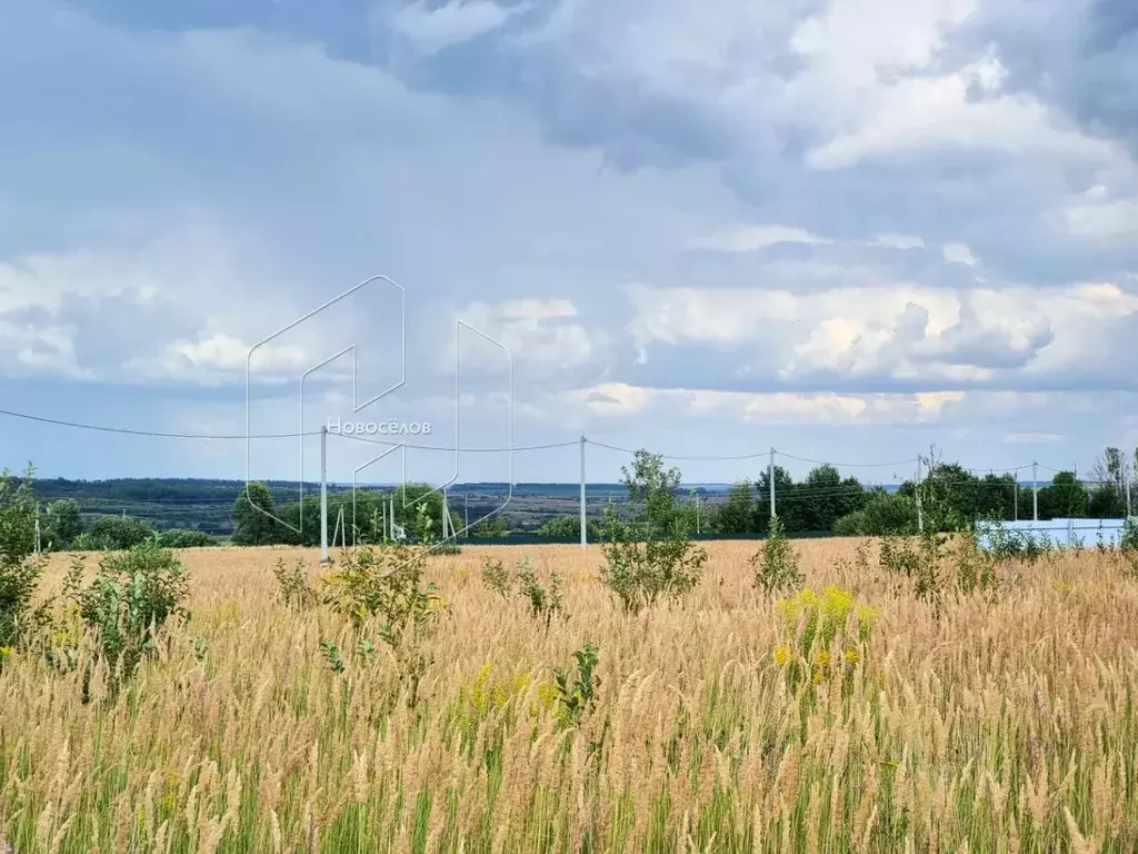 Участок в Мордовия, с. Лямбирь ул. Имени Братьев Артемьевых (9.5 сот.) - Фото 1