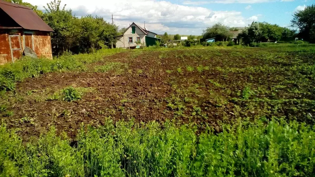 Участок в Курская область, Курский район, Клюквинский сельсовет, ... - Фото 0