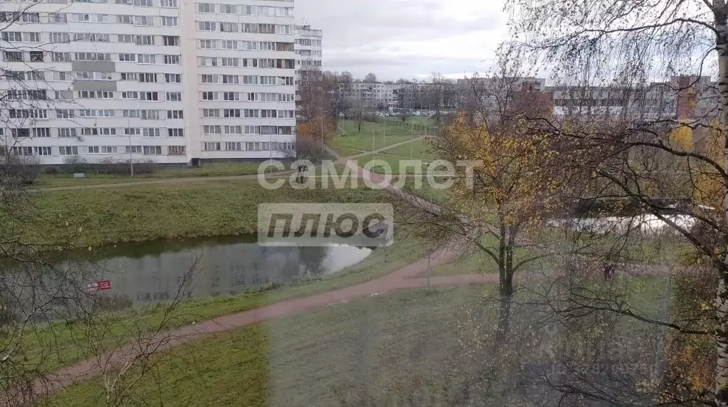 1-к кв. Санкт-Петербург ул. Генерала Симоняка, 18 (30.8 м) - Фото 1