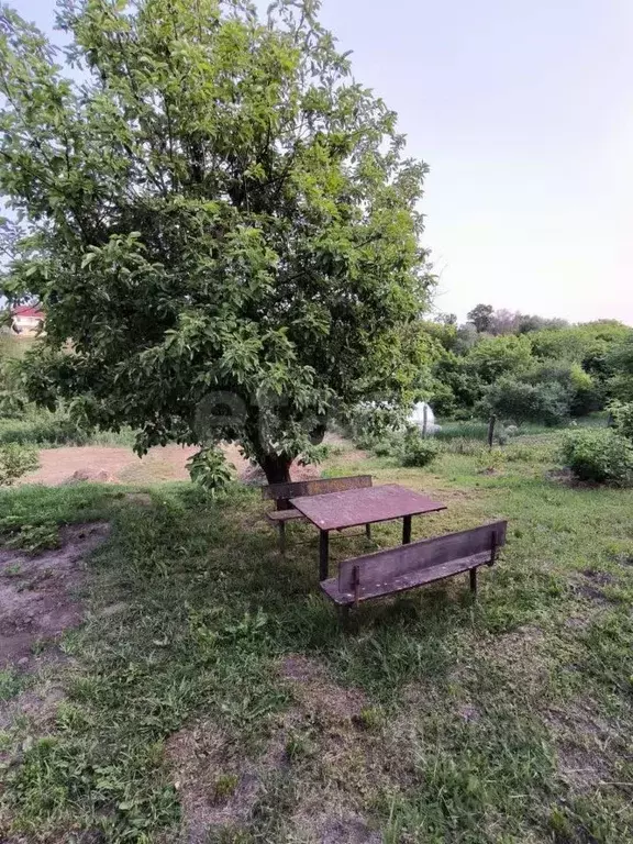 Дом в Владимирская область, Муром с. Дмитриевская Слобода, ул. ... - Фото 1