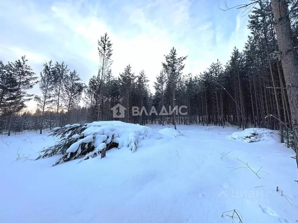 Участок в Иркутская область, Иркутск Славный мкр, ул. Заветная (15.0 ... - Фото 1