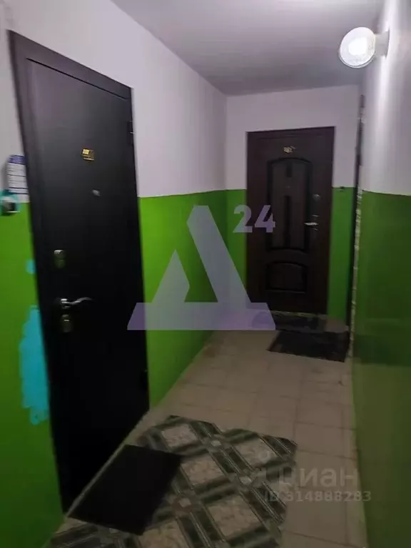 1-к кв. Алтайский край, Новоалтайск Прудская ул., 15Д (22.1 м) - Фото 2