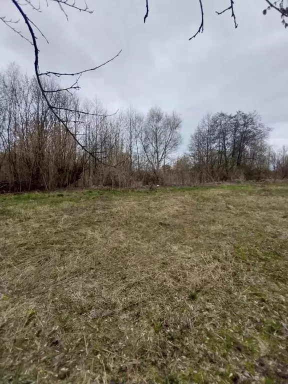 Продается участок в д. Пехорка - Фото 2