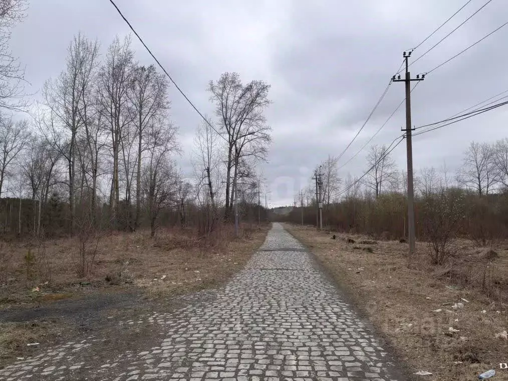 Участок в Свердловская область, Нижний Тагил Новая Кушва мкр,  (12.2 ... - Фото 2