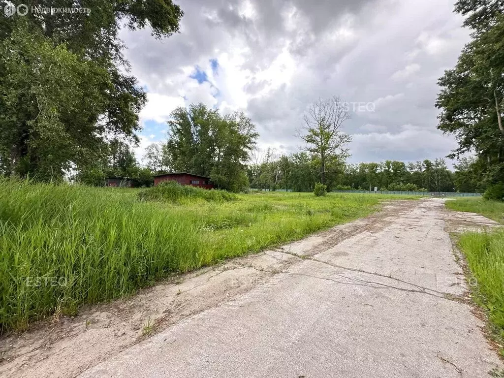 Участок в Новосибирск, Кайтымовская улица, 14 (47 м) - Фото 0