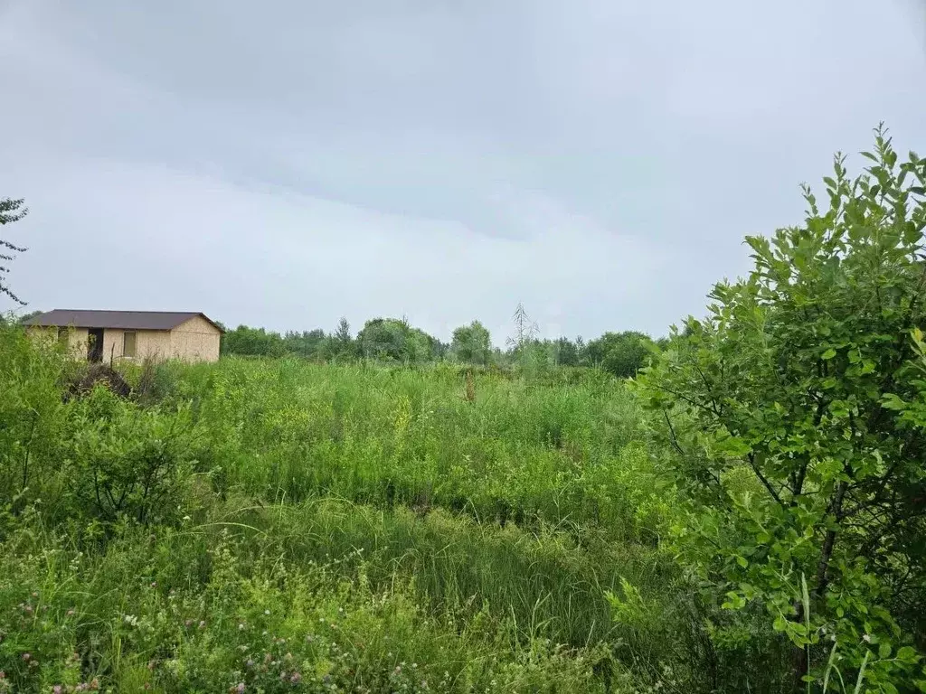 Участок в Хабаровский край, Хабаровский район, с. Мирное, Солнечная ... - Фото 1