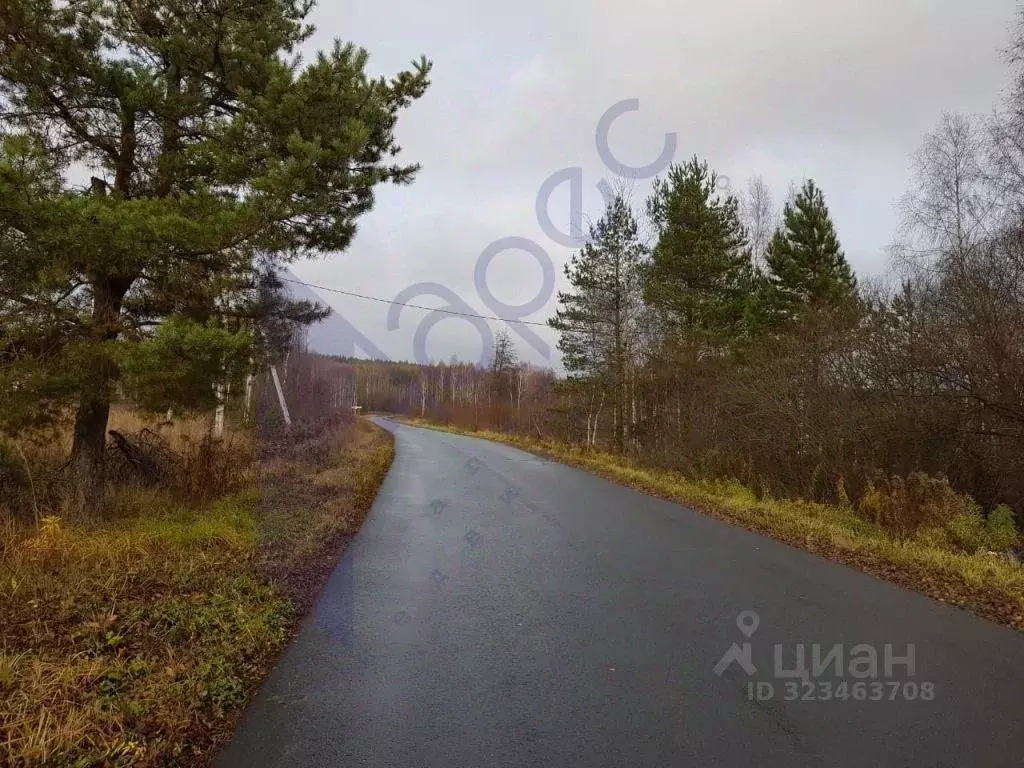 Участок в Нижегородская область, Дальнеконстантиновский муниципальный ... - Фото 2