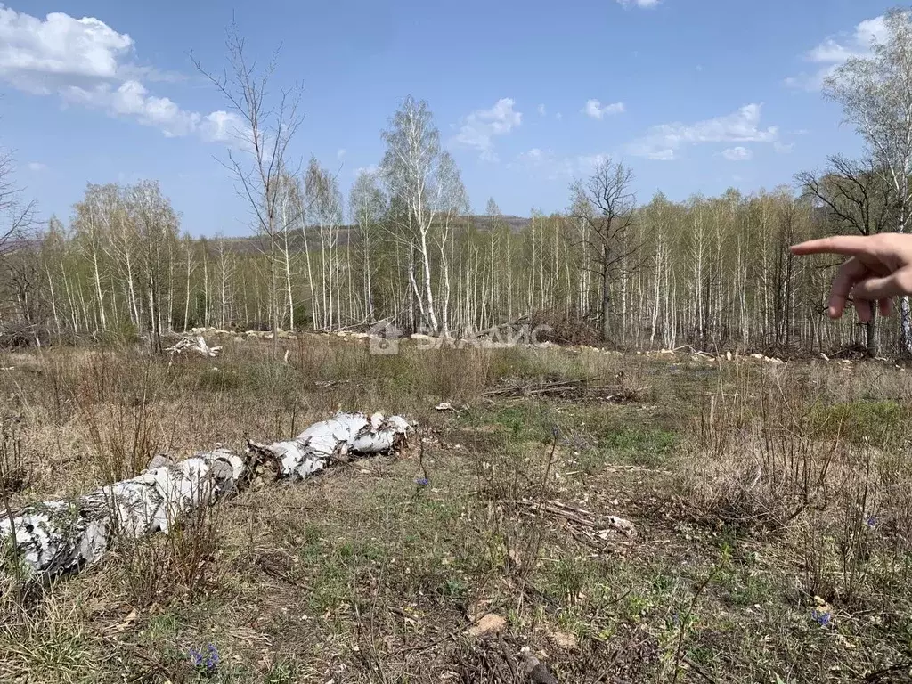 Участок в Башкортостан, Октябрьский Приозерный мкр,  (8.26 сот.) - Фото 0