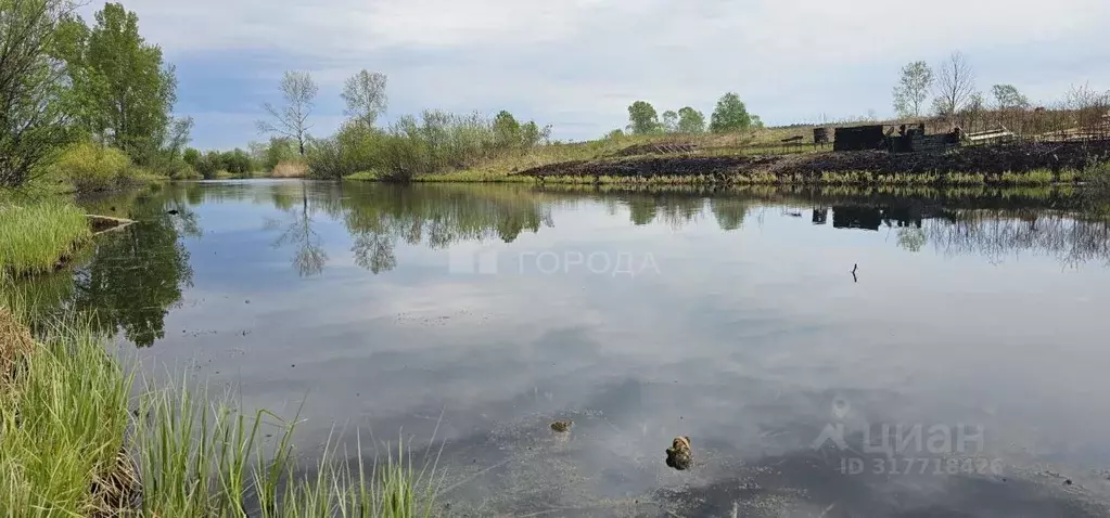 Участок в Новосибирская область, Новосибирский район, Кубовинский ... - Фото 0