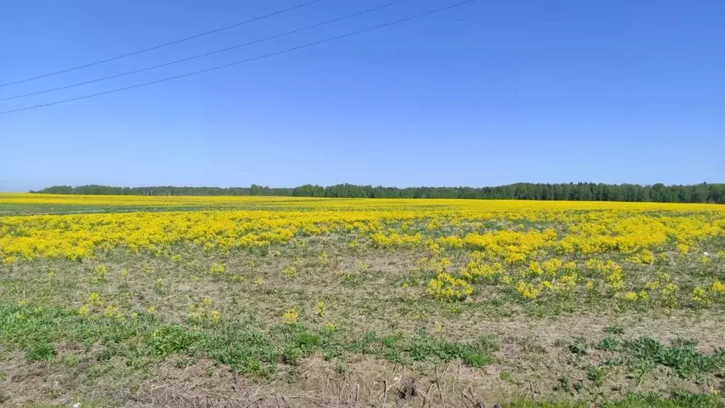 Участок в Московская область, Рузский муниципальный округ, д. Лидино  ... - Фото 1