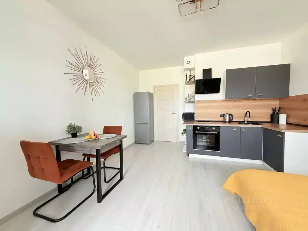 Студия Санкт-Петербург просп. Ветеранов, 194 (24.2 м) - Фото 1