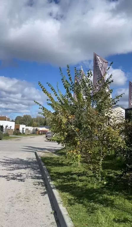 Участок 8,5 сот. (ИЖС) - Фото 0