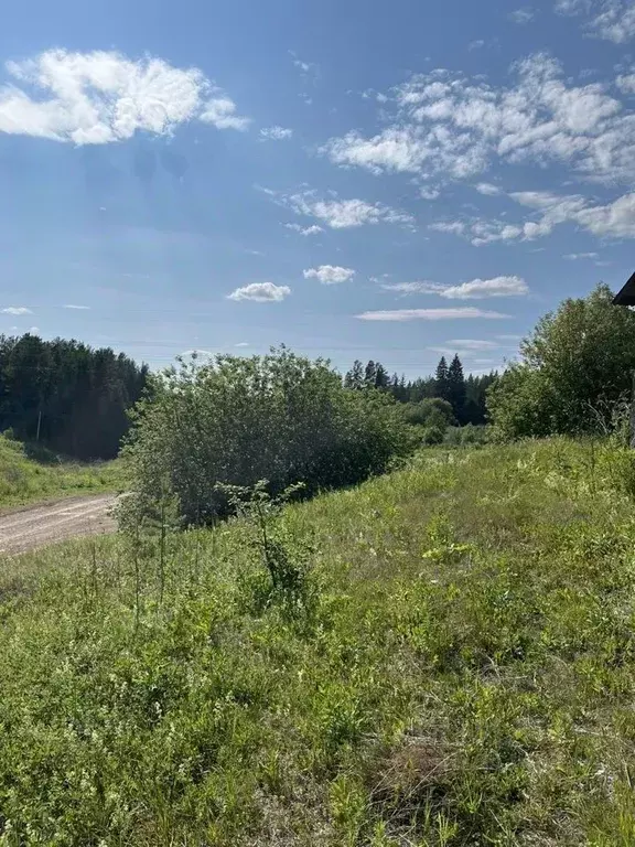 Дом в Свердловская область, Нижнесергинское городское поселение, д. ... - Фото 0