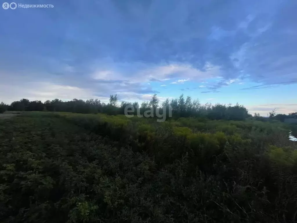 Участок в Нижегородская область, Кстовский муниципальный округ, село ... - Фото 0