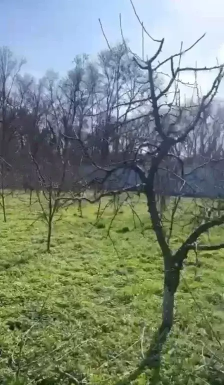 Участок в Кабардино-Балкария, Терек ул. Мамхегова, 54 (25.0 сот.) - Фото 1