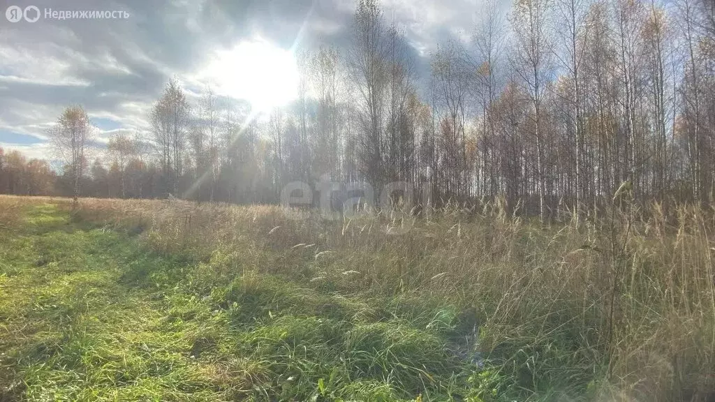 Участок в Костромской район, Минское сельское поселение, деревня ... - Фото 1