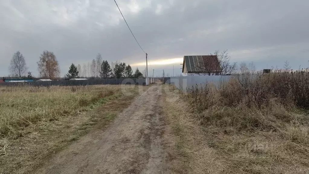 Участок в Тюменская область, Ялуторовский муниципальный округ, СО ... - Фото 1