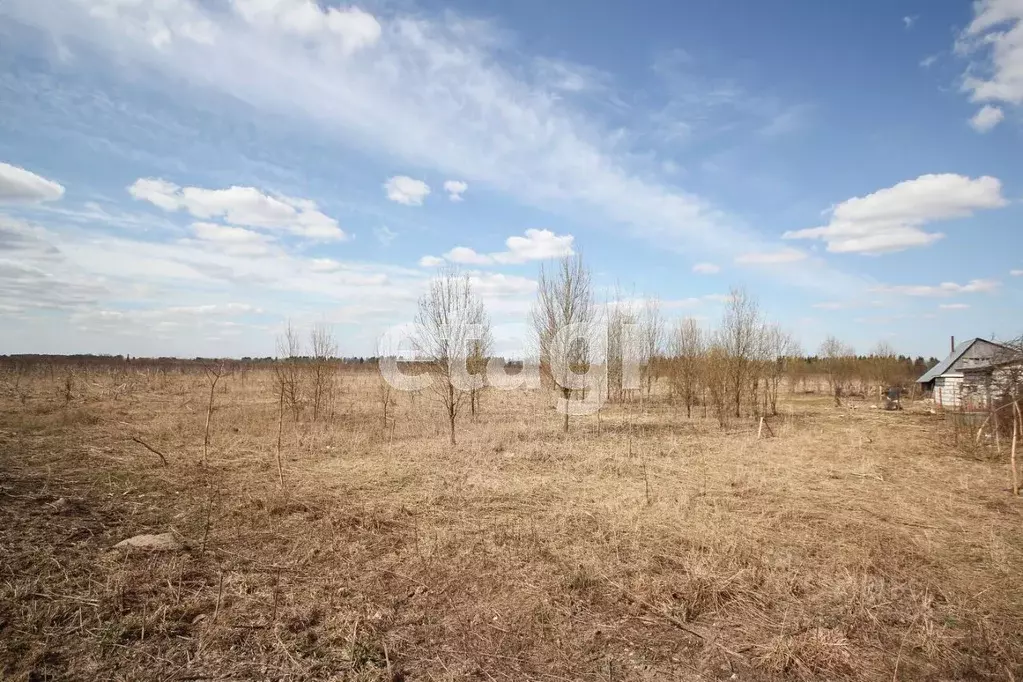 Участок в Ленинградская область, Волосовский район, Большеврудское ... - Фото 0
