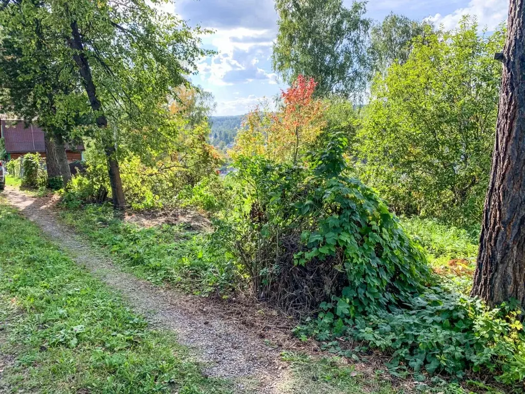 Участок в Новосибирская область, Новосибирский район, Новолуговской ... - Фото 2