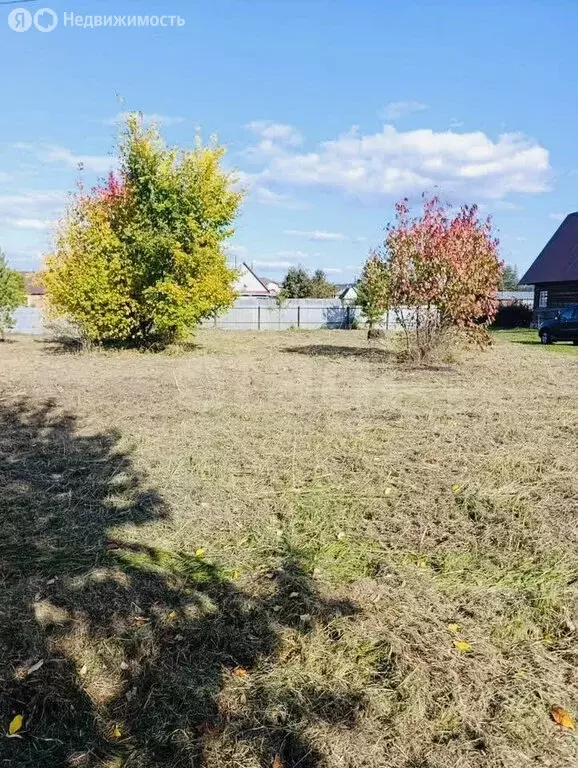 Участок в деревня Пугачи, Центральная улица (18 м) - Фото 2