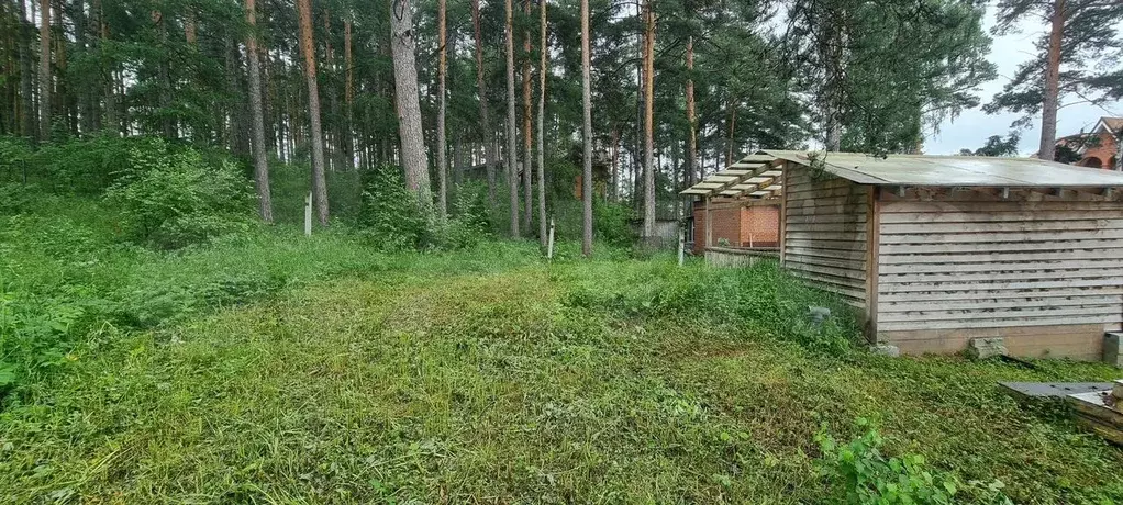 Участок 6,5 сот. (ИЖС) - Фото 0