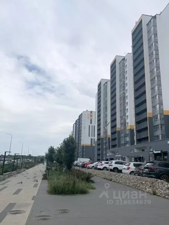 Студия Ленинградская область, Ломоносовский район, Виллозское ... - Фото 1