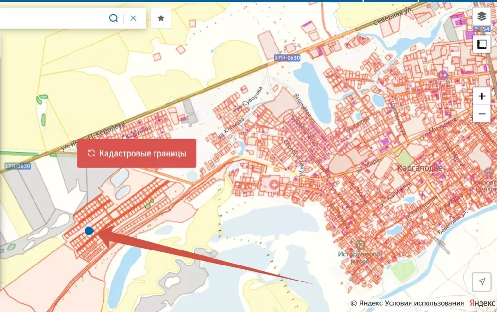 Участок в Курганская область, Каргаполье рп  (13.0 сот.) - Фото 1