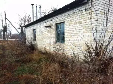 Помещение свободного назначения в Липецкая область, Задонский район, ... - Фото 1