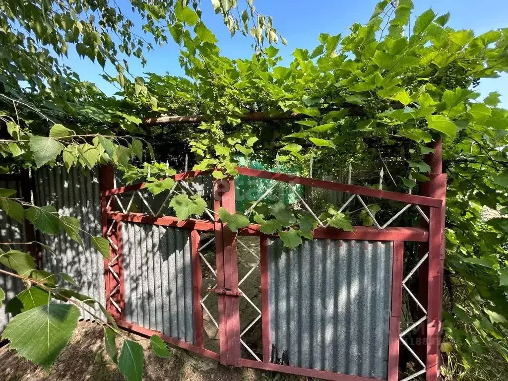 Дом в Ставропольский край, Ставрополь Приозерное СТ,  (30 м) - Фото 1