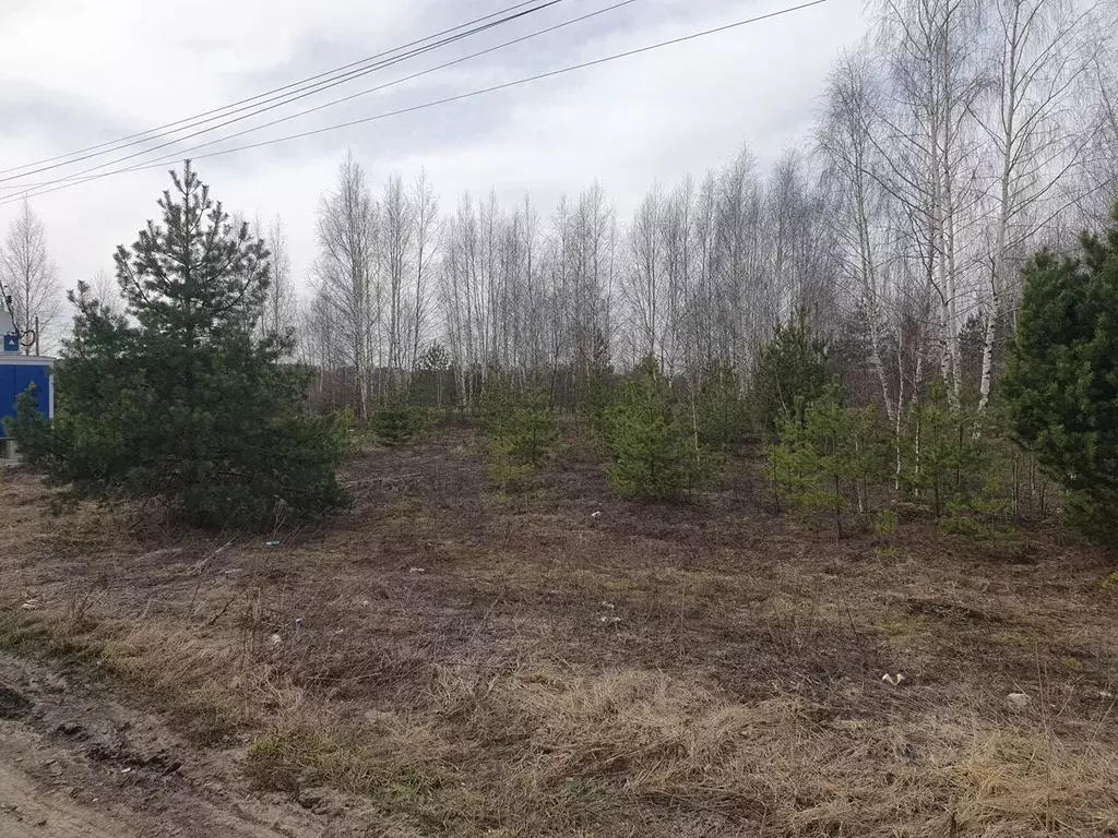 Участок в Московская область, Раменский городской округ, Виола СНТ  ... - Фото 1