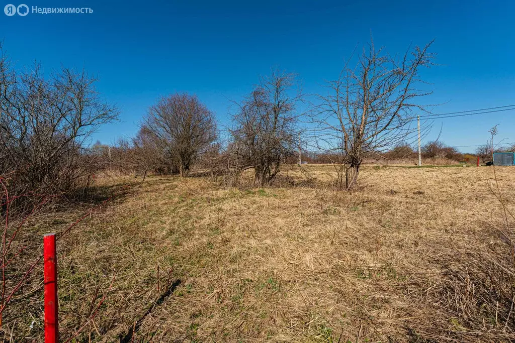 Участок в Калининградская область, Зеленоградский муниципальный округ, ... - Фото 1