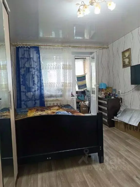 3-к кв. Оренбургская область, Оренбург Просторная ул., 16 (64.7 м) - Фото 1