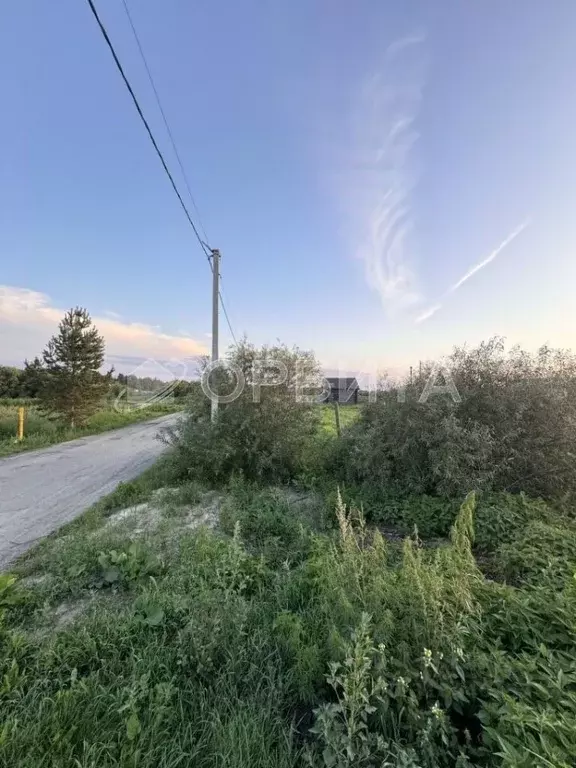 Участок в Тюменская область, Тюменский район, д. Кыштырла ул. ... - Фото 0